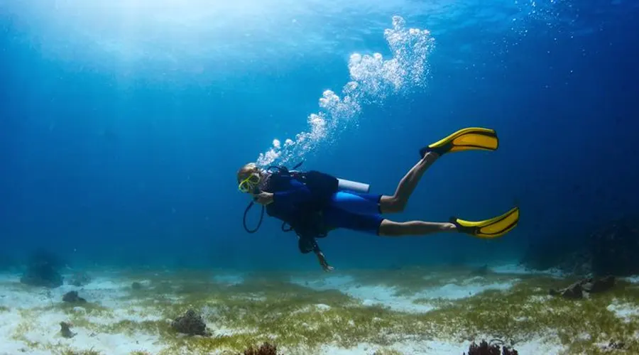 Snorkeling In Kerala